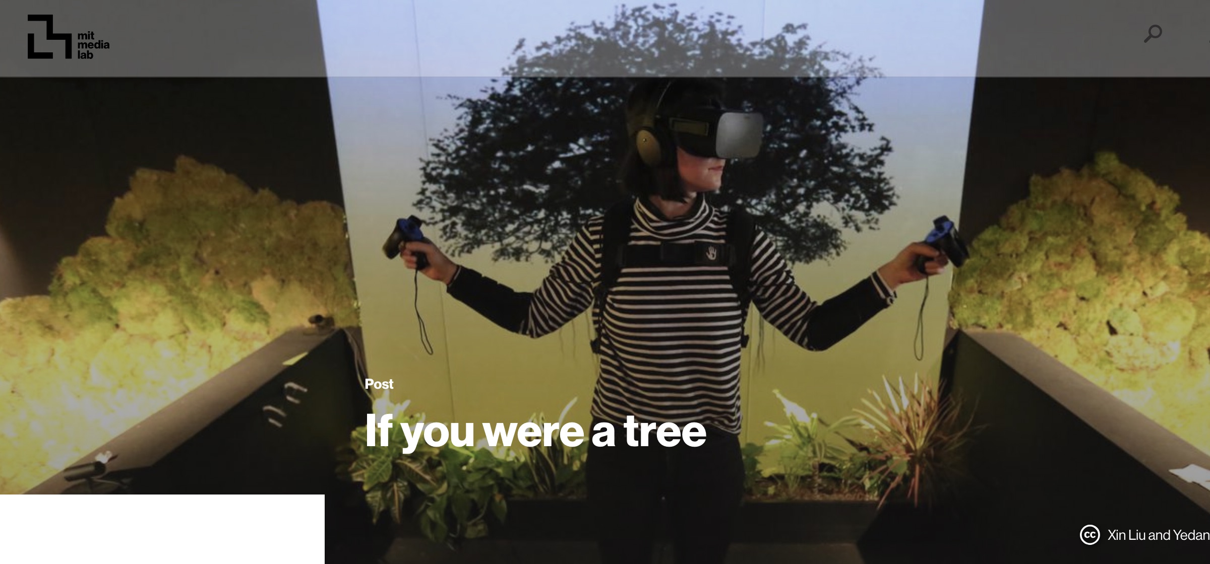 VR Forschung MIT